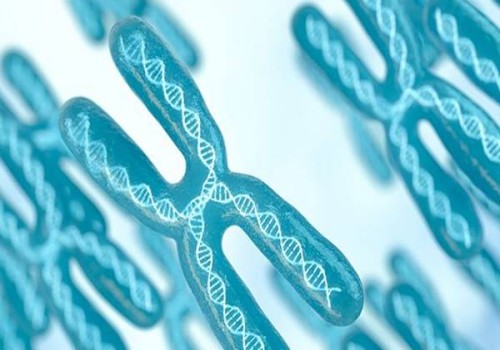 助力卵泡發育的食物清單，讓你的卵泡更好地發育。